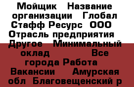 Мойщик › Название организации ­ Глобал Стафф Ресурс, ООО › Отрасль предприятия ­ Другое › Минимальный оклад ­ 30 000 - Все города Работа » Вакансии   . Амурская обл.,Благовещенский р-н